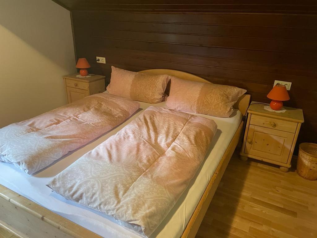 Neudegghof Apartamento Eben Im Pongau Exterior foto